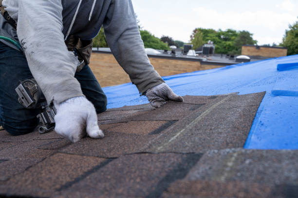 Fast & Reliable Emergency Roof Repairs in Caseyville, IL